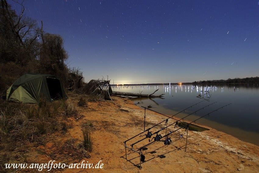 fish - 69685545167868835346634392462n.jpg